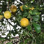 Paradiso In Riva Al Mare