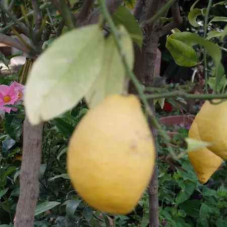Appartamento Paradiso In Riva Al Mare *