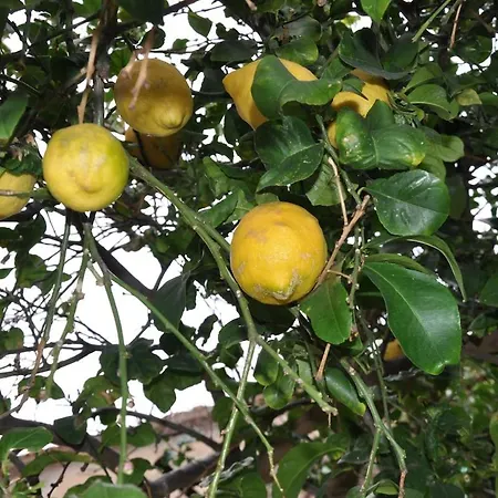 Paradiso In Riva Al Mare