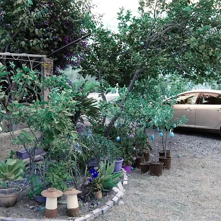 Paradiso In Riva Al Mare * Belmonte Calabro