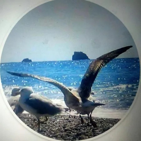 Appartamento Paradiso In Riva Al Mare Belmonte Calabro