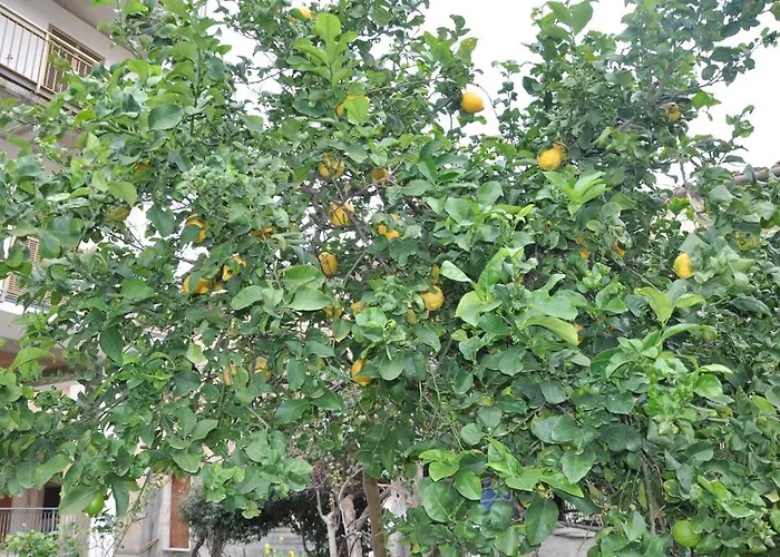 Paradiso In Riva Al Mare בלמונטה קלברו