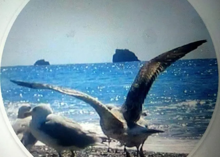 דירה Paradiso In Riva Al Mare בלמונטה קלברו