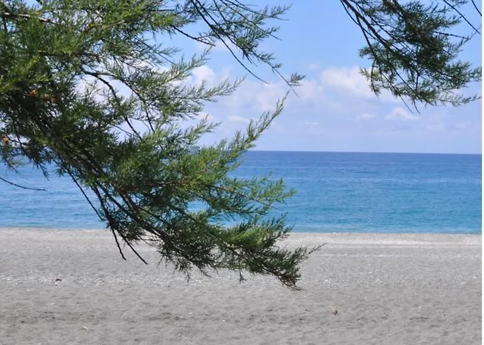 Paradiso In Riva Al Mare